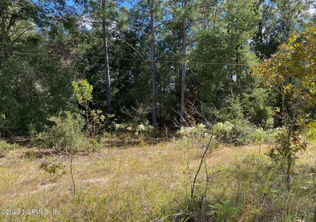 Photo 3 of Land for sale at X9x Tasby St, Interlachen, FL 32148 | MLS# 1215968 | Listing updated on 2026-05-19