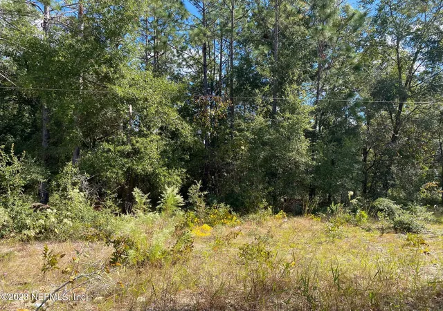 Photo 3 of Land for sale at X9X Tasby St, Interlachen, FL 32148 | MLS# 1215968 | Listing updated on 2026-05-19