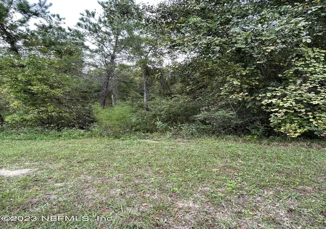 Photo 3 of Land for sale at 4431 Tarragon Ave, Middleburg, FL 32068 | MLS# 1250654 | Listing updated on 2026-04-30