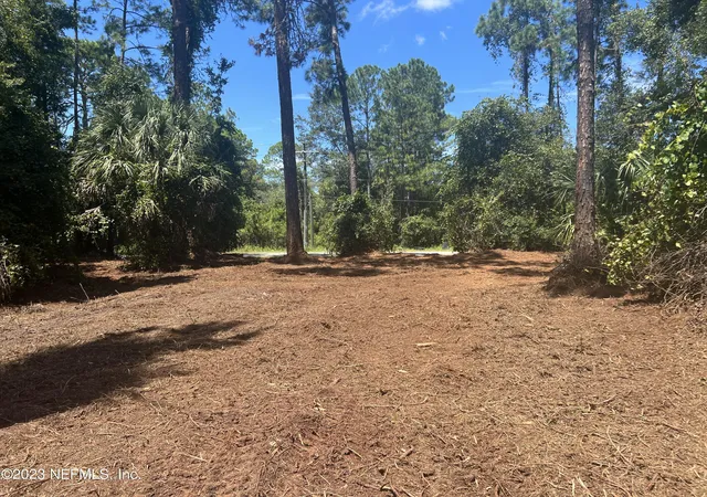Homes for sale in Georgetown, FL | 162 Whispering Pines Rd, Georgetown, FL 32139 | MLS# 1236840