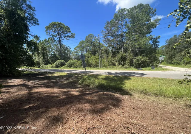 Homes for sale in Georgetown, FL | 162 Whispering Pines Rd, Georgetown, FL 32139 | MLS# 1236840