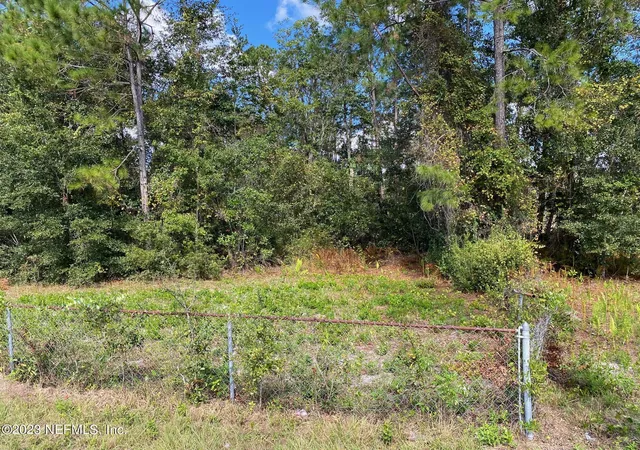 5th image of Tbd Fl Sr 20 Hwy, Interlachen, FL 32148 | MLS# 1223376