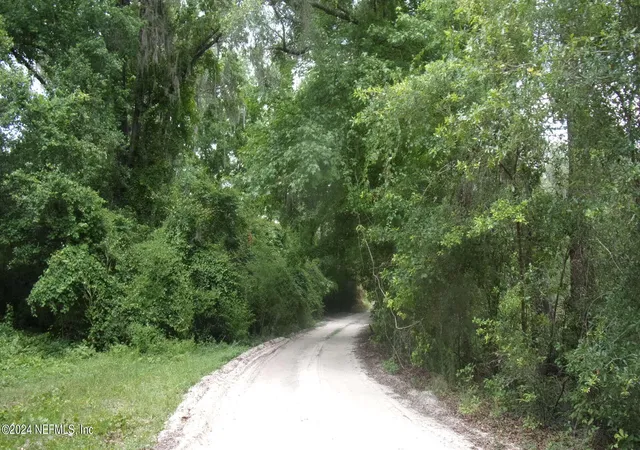 Photo 1 of Land for sale at 141 Crosby Rd, Florahome, FL 32140 | MLS# 1244985 | Listing updated on 2026-08-21