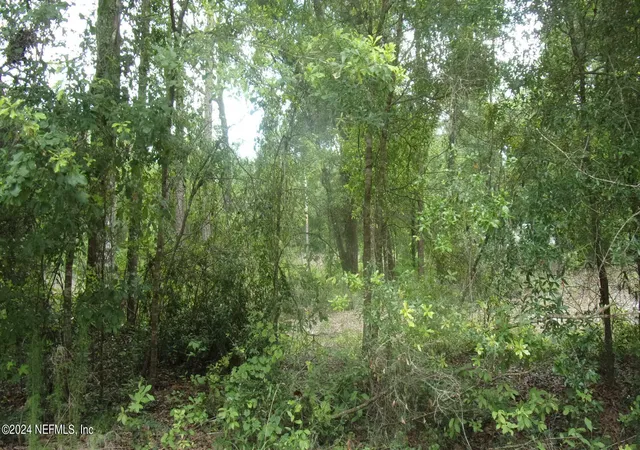 Photo 2 of Land for sale at 141 Crosby Rd, Florahome, FL 32140 | MLS# 1244985 | Listing updated on 2026-08-21