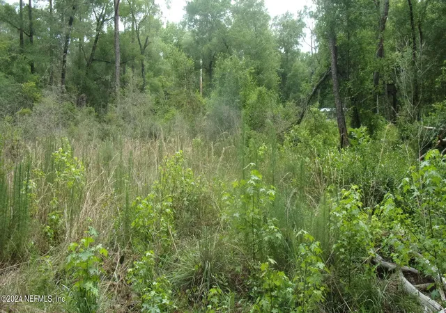 Photo 3 of Land for sale at 141 Crosby Rd, Florahome, FL 32140 | MLS# 1244985 | Listing updated on 2026-08-21