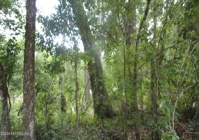 Photo 4 of Land for sale at 141 Crosby Rd, Florahome, FL 32140 | MLS# 1244985 | Listing updated on 2026-08-21