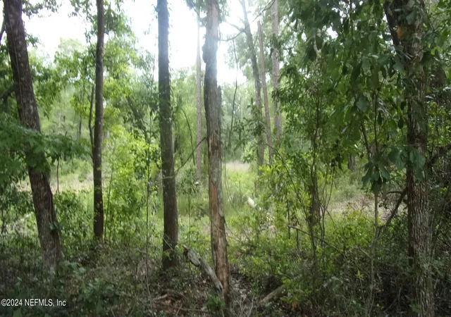 Photo 5 of Land for sale at 141 Crosby Rd, Florahome, FL 32140 | MLS# 1244985 | Listing updated on 2026-08-21