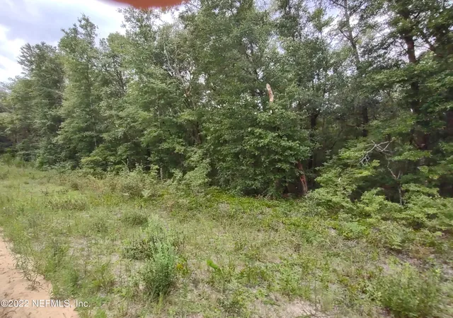 Photo 1 of Land for sale at 24 Neilsen Ave, Interlachen, FL 32148 | MLS# 1184223 | Listing updated on 2026-07-27