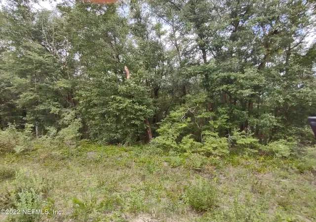 Photo 2 of Land for sale at 24 Neilsen Ave, Interlachen, FL 32148 | MLS# 1184223 | Listing updated on 2026-07-27