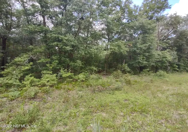 Photo 3 of Land for sale at 24 Neilsen Ave, Interlachen, FL 32148 | MLS# 1184223 | Listing updated on 2026-07-27