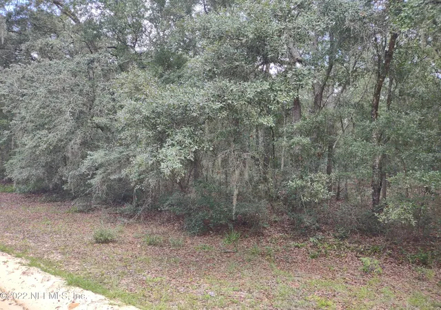 Photo 2 of Land for sale at 0040 Brett Ave, Interlachen, FL 32148 | MLS# 1184220 | Listing updated on 2026-07-27