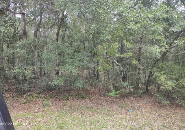 Photo 3 of Land for sale at 0040 Brett Ave, Interlachen, FL 32148 | MLS# 1184220 | Listing updated on 2026-07-27