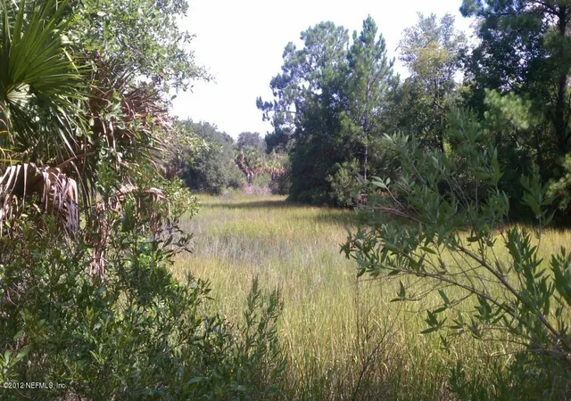 Land for sale at 0 Red Bass Dr, Jacksonville, FL 32226 | MLS# 592745 | Listing updated on 2024-01-20