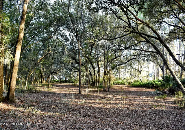 1st image of 0 Simpson Dr, Interlachen, FL 32148 | MLS# 2001036