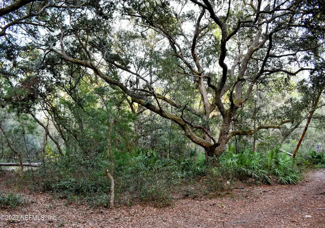 4th image of 0 Simpson Dr, Interlachen, FL 32148 | MLS# 2001036