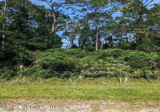 Photo 1 of Sale Pending at 00 Roddy Rd, Palatka, FL 32177 | MLS# 2007554 | Listing updated on 2025-03-02