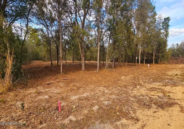 Photo 3 of Sale Pending at 0 Lily Trl, Interlachen, FL 32148 | MLS# 2008439 | Listing updated on 2026-09-28