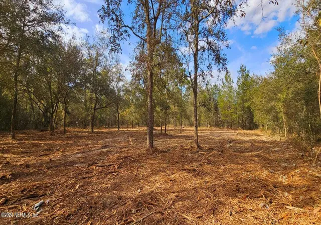 Photo 4 of Sale Pending at 0 Lily Trl, Interlachen, FL 32148 | MLS# 2008439 | Listing updated on 2026-09-28