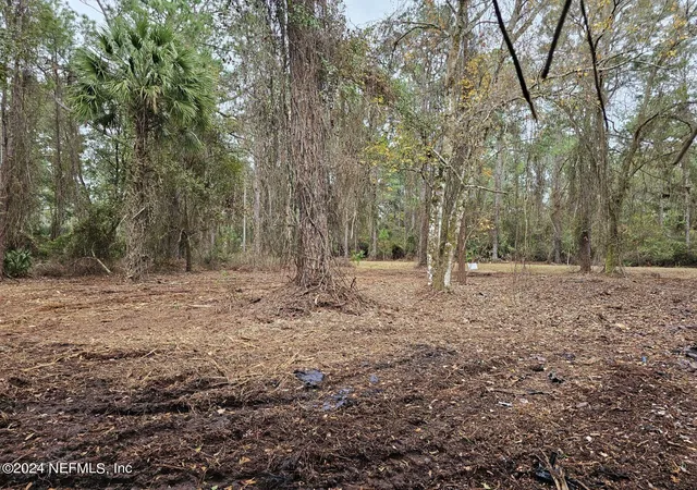 Photo 2 of Land for sale at 534 Palm Way, Georgetown, FL 32139 | MLS# 2009158 | Listing updated on 2025-12-05