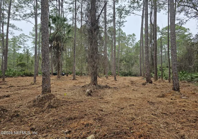 Photo 1 of Land for sale at 211 4th St, Georgetown, FL 32139 | MLS# 2009178 | Listing updated on 2025-12-05