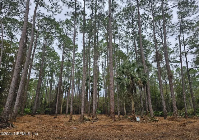 Photo 2 of Land for sale at 211 4th St, Georgetown, FL 32139 | MLS# 2009178 | Listing updated on 2025-12-05