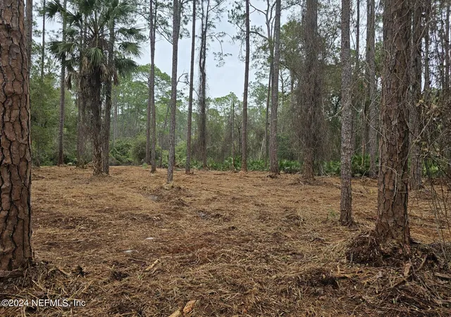 Photo 3 of Land for sale at 211 4th St, Georgetown, FL 32139 | MLS# 2009178 | Listing updated on 2025-12-05