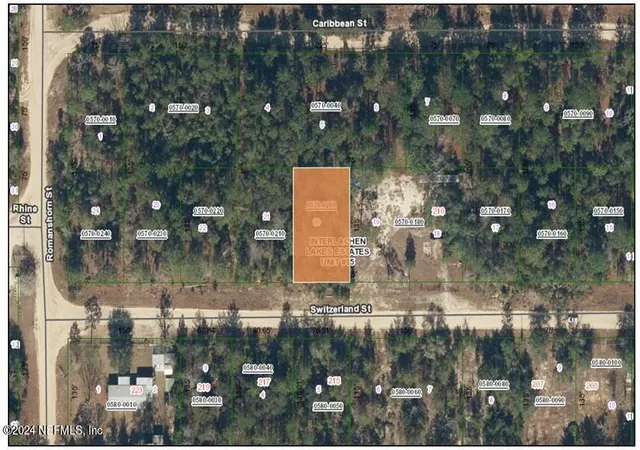 Photo 2 of Land for sale at 214 Switzerland St, Interlachen, FL 32148 | MLS# 2016098 | Listing updated on 2026-03-25