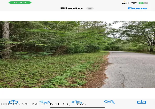 Photo 3 of Land for sale at 0 Richardson Rd, Glen Saint Mary, FL 32040 | MLS# 2031420 | Listing updated on 2026-09-02