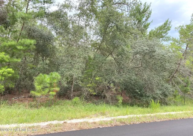 Photo 2 of Land for sale at 118 Spanish Trl, Georgetown, FL 32139 | MLS# 2032532 | Listing updated on 2026-06-17