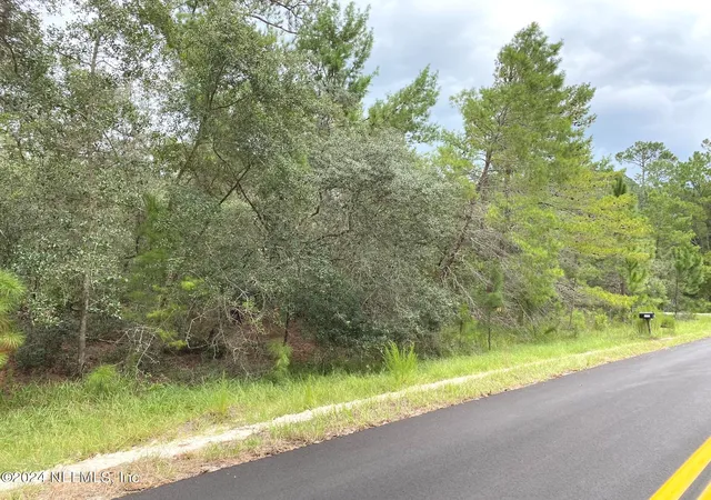 Photo 3 of Land for sale at 118 Spanish Trl, Georgetown, FL 32139 | MLS# 2032532 | Listing updated on 2026-06-17