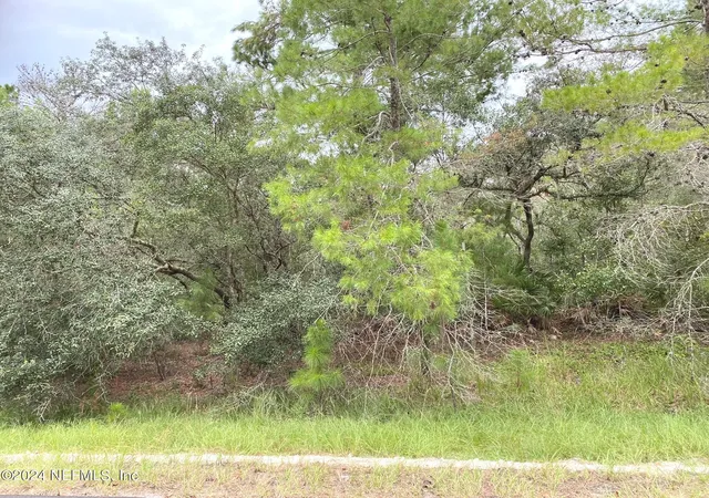 Photo 4 of Land for sale at 118 Spanish Trl, Georgetown, FL 32139 | MLS# 2032532 | Listing updated on 2026-06-17