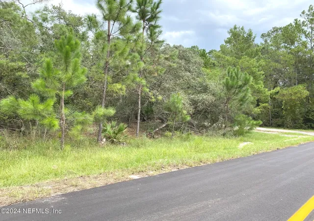 Photo 5 of Land for sale at 118 Spanish Trl, Georgetown, FL 32139 | MLS# 2032532 | Listing updated on 2026-06-17