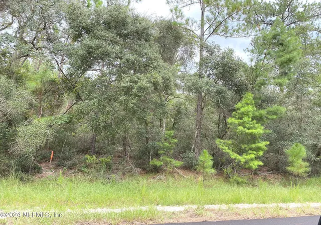 Photo 6 of Land for sale at 118 Spanish Trl, Georgetown, FL 32139 | MLS# 2032532 | Listing updated on 2026-06-17