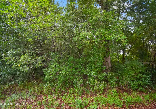 4th image of 117 B St, Pomona Park, FL 32181 | MLS# 2037463