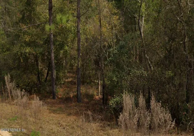 Photo 1 of Land for sale at 0 Michael Ave, Interlachen, FL 32148 | MLS# 2049719 | Listing updated on 2025-10-31