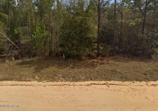 Photo 2 of Land for sale at 0 Michael Ave, Interlachen, FL 32148 | MLS# 2049719 | Listing updated on 2025-10-31