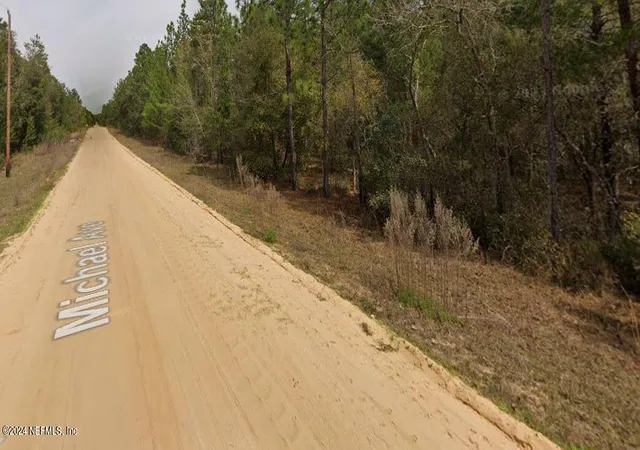 Photo 3 of Land for sale at 0 Michael Ave, Interlachen, FL 32148 | MLS# 2049719 | Listing updated on 2025-10-31
