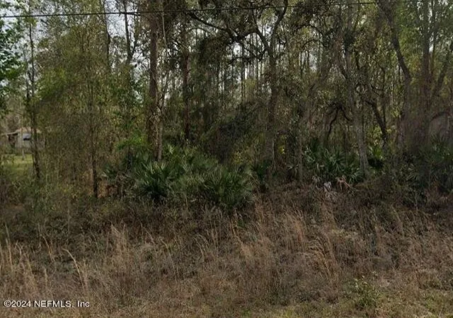 Photo 1 of Land for sale at 0 Britt St, Interlachen, FL 32148 | MLS# 2049722 | Listing updated on 2025-10-31