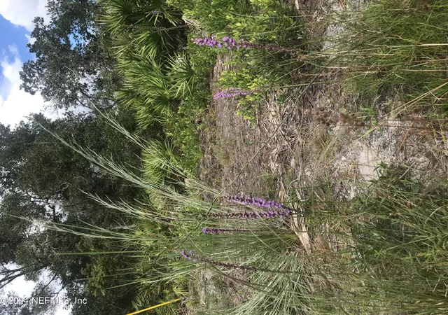 Photo 1 of Land for sale at 0 Summit Rd, Satsuma, FL 32189 | MLS# 2050975 | Listing updated on 2025-10-03