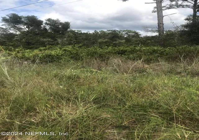 Photo 3 of Land for sale at 0 Summit Rd, Satsuma, FL 32189 | MLS# 2050975 | Listing updated on 2025-10-03