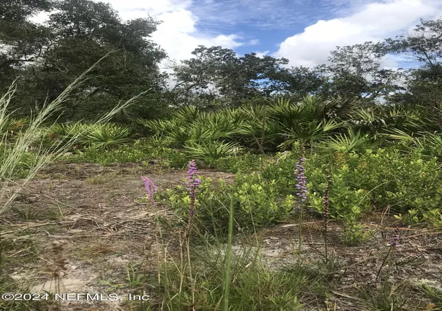 Photo 4 of Land for sale at 0 Summit Rd, Satsuma, FL 32189 | MLS# 2050975 | Listing updated on 2025-10-03