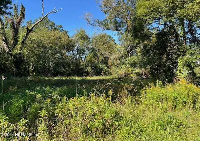 Photo 1 of Sale Pending at 0 W 18th St, Jacksonville, FL 32209 | MLS# 2053530 | Listing updated on 2025-03-25
