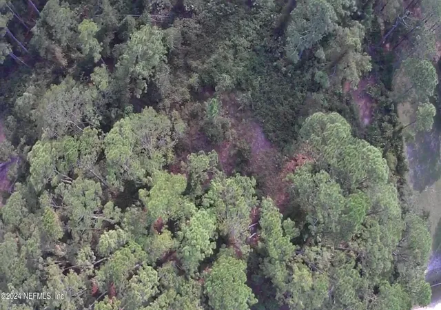 Photo 10 of Land for sale at 105 Pine Cone Dr, Georgetown, FL 32139 | MLS# 2054012 | Listing updated on 2026-03-25