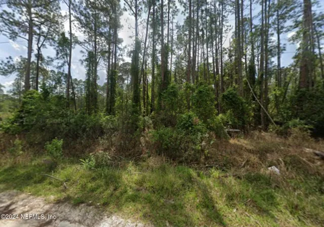 Photo 1 of Land for sale at 105 Pine Cone Dr, Georgetown, FL 32139 | MLS# 2054012 | Listing updated on 2026-03-25
