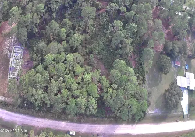 Photo 2 of Land for sale at 105 Pine Cone Dr, Georgetown, FL 32139 | MLS# 2054012 | Listing updated on 2026-03-25