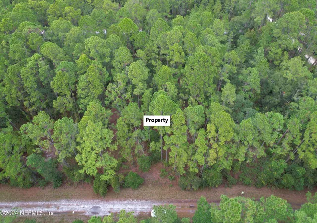 Photo 2 of Land for sale at 136 Helen Ave, Georgetown, FL 32139 | MLS# 2055841 | Listing updated on 2026-06-01