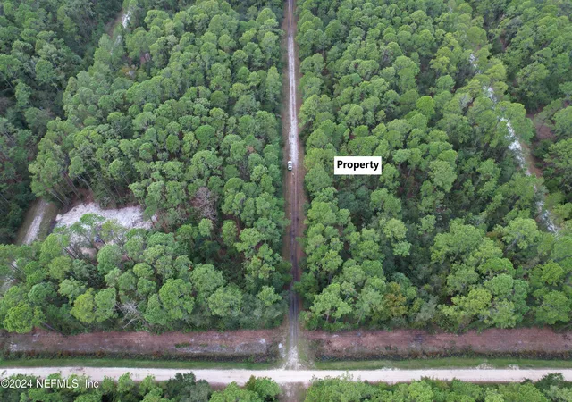 Photo 3 of Land for sale at 136 Helen Ave, Georgetown, FL 32139 | MLS# 2055841 | Listing updated on 2026-06-01
