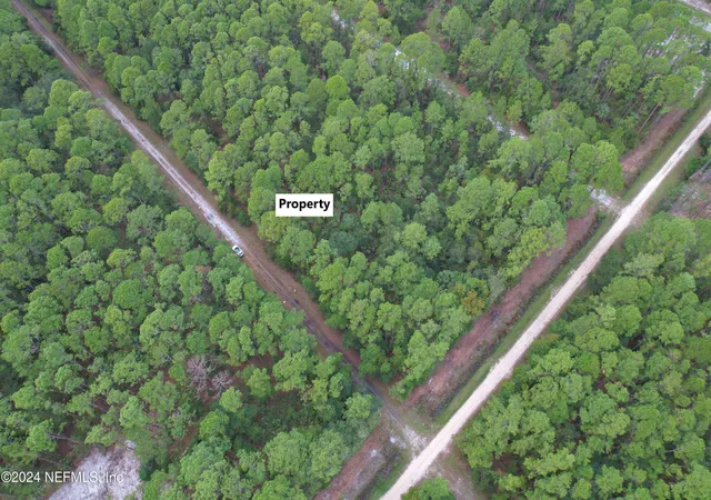 Photo 4 of Land for sale at 136 Helen Ave, Georgetown, FL 32139 | MLS# 2055841 | Listing updated on 2026-06-01