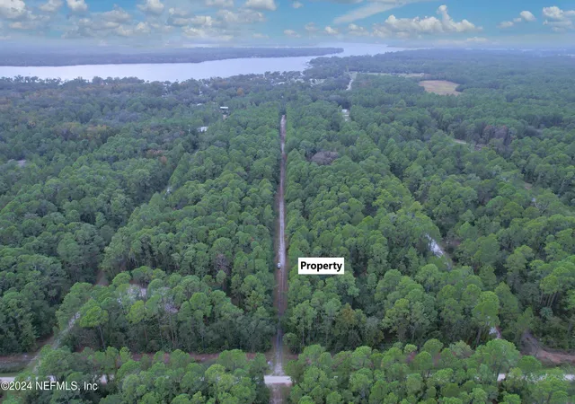 Photo 5 of Land for sale at 136 Helen Ave, Georgetown, FL 32139 | MLS# 2055841 | Listing updated on 2026-06-01