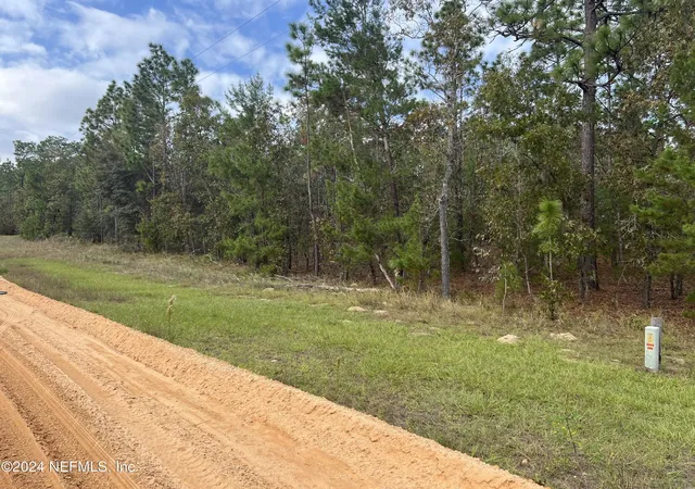 Photo 2 of Land for sale at 255 Melrose Landing Dr, Hawthorne, FL 32640 | MLS# 2056567 | Listing updated on 2026-07-08